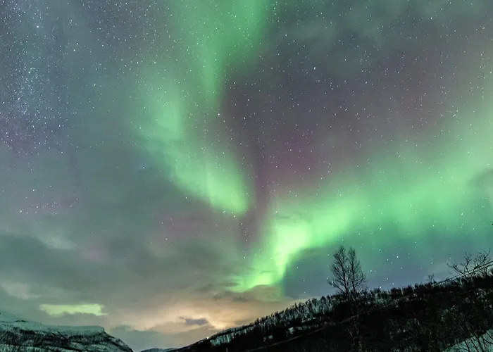 Enter Backpack Hotell 3*